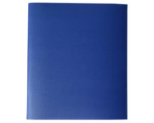 Klade standarta 96lpp, 165*205mm, lniju, lederna vks